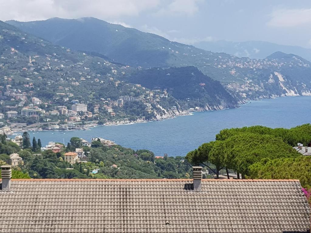 Residence Portofino Est Ραπάλο Εξωτερικό φωτογραφία